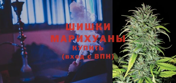 мяу мяу мука Магадан