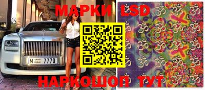 твердый Кингисепп