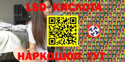 твердый Кингисепп