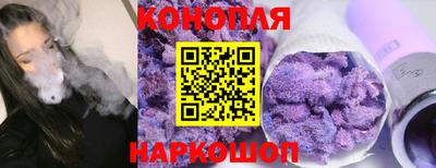 твердый Кингисепп