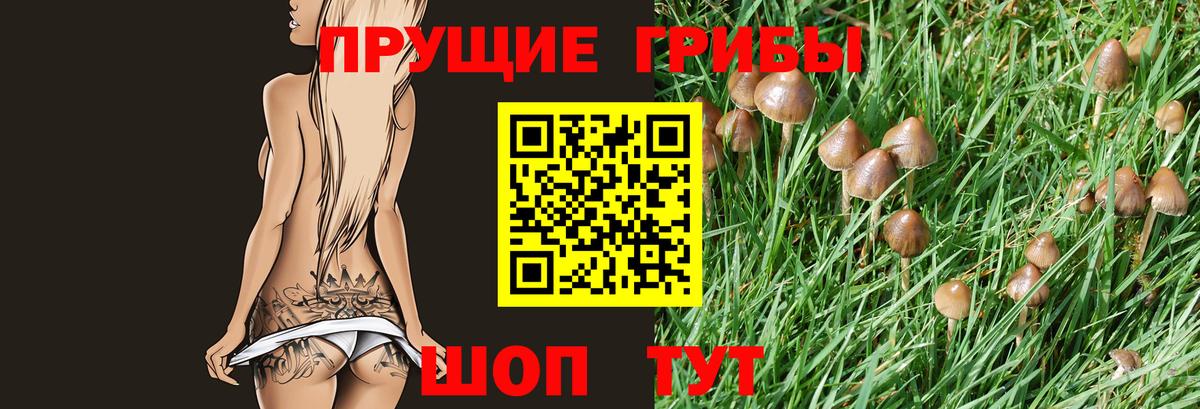 Галлюциногенные грибы прущие грибы  Псилоцибиновые грибы Cubensis  Вход с VPN  Лосино-Петровский 
